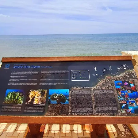 Beachfront Apartment